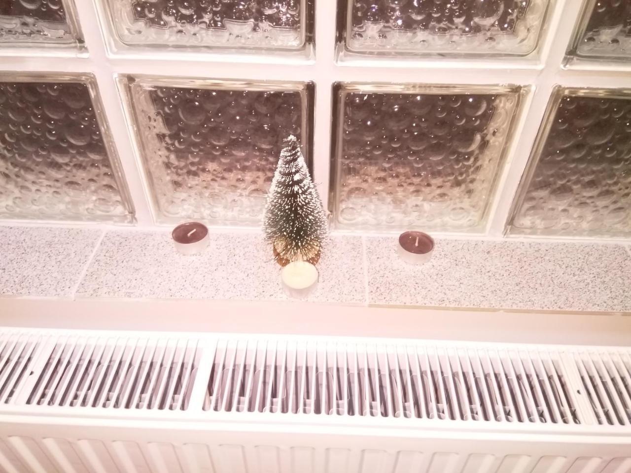Djurdja Apartment Aranđelovac Eksteriør billede