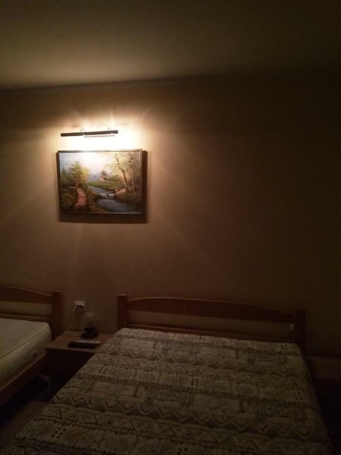 Djurdja Apartment Aranđelovac Eksteriør billede